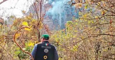 114 incendios