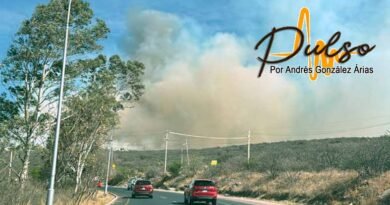 Devastación ecológica