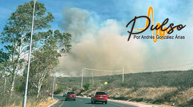 Devastación ecológica