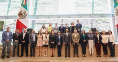 Informe