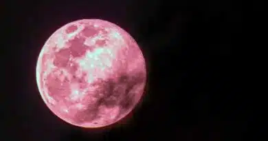Luna Rosa