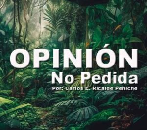 Opinión no Pedida