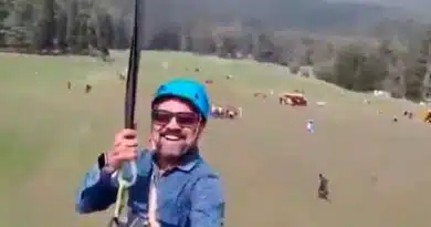 Turista