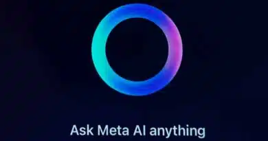 de Meta