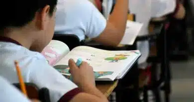 megapuente