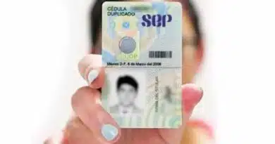 Cédula Profesional