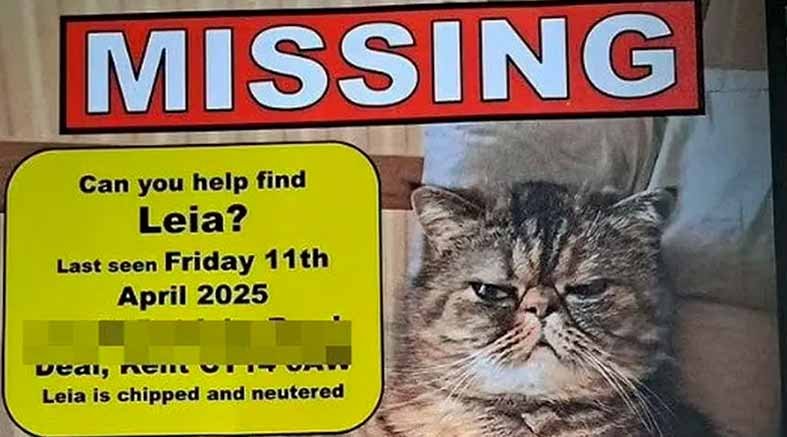 Leila