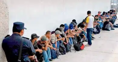 Ofrecerán