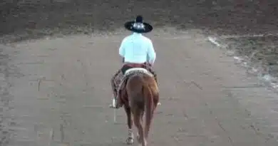 Rubén