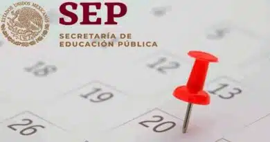 SEP