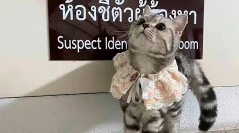 Tailandia 