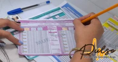elecciones del
