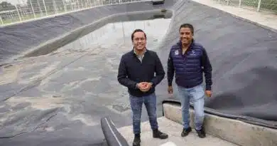Chepe
