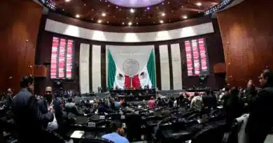 Diputados