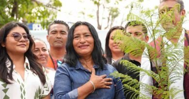 Los arboles generan CO2 y ayudan a la erosión: Abelina López 3 Los arboles
