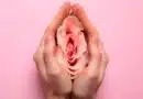 Menopausia
