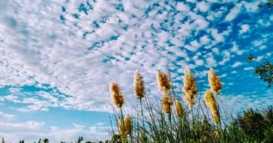 nubes