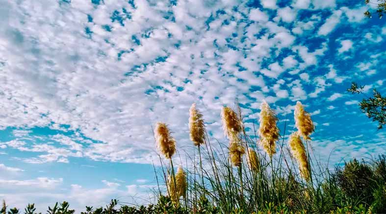 nubes
