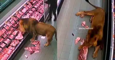 un supermercado