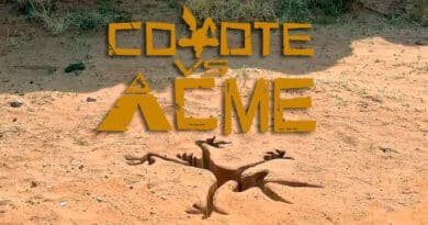 Coyote vs. Acme: fecha de estreno y la historia detrás de su cancelación 1 Acme