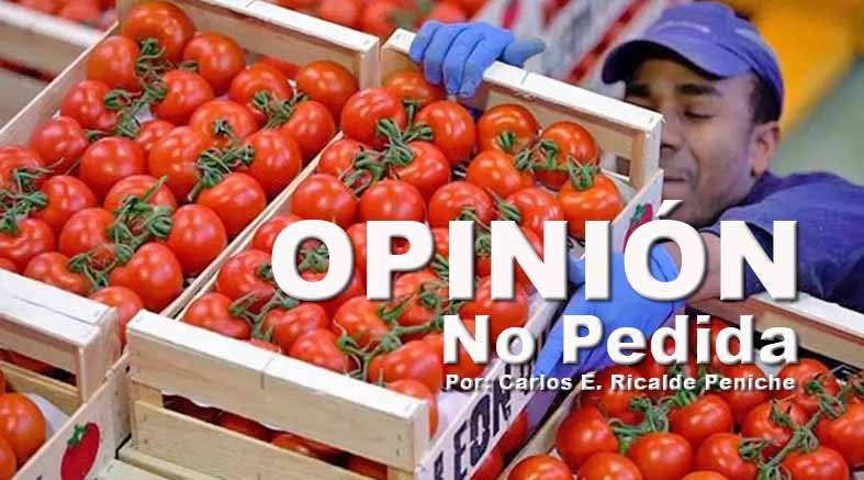 Exportamos