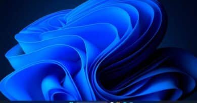 Windows 11 ya