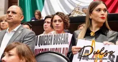 nueva Ley