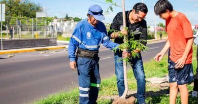 reforesta Av.