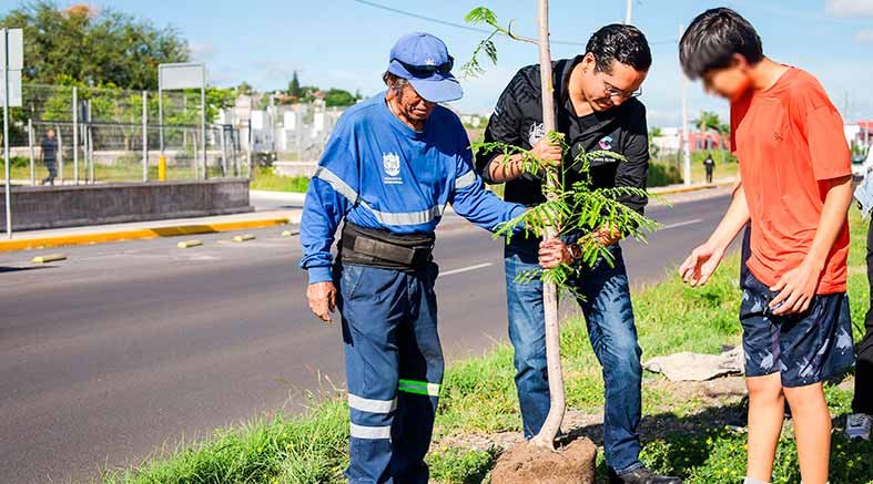 reforesta Av.