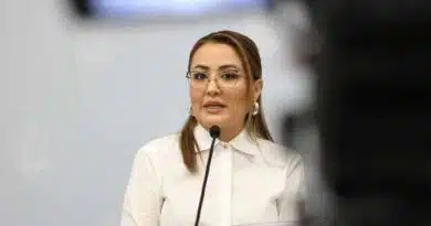 Amparos