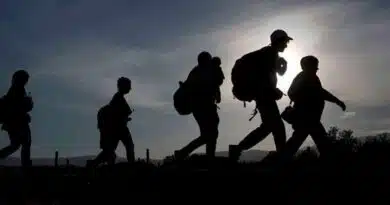 Migrantes ya