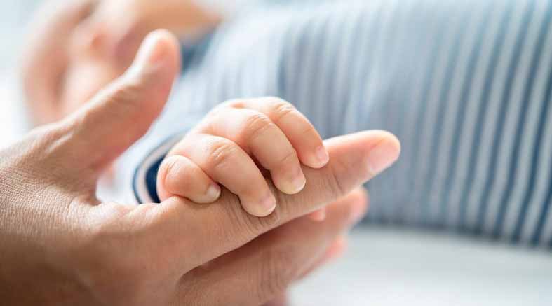 falsa paternidad