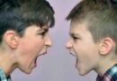 peleas