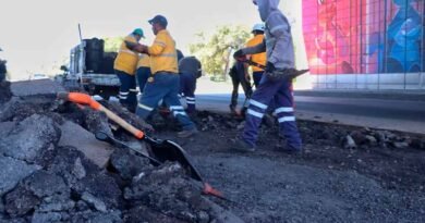 Brigadas Antibaches continúan en el Municipio de Corregidora 4 Brigadas