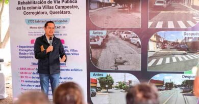 Chepe