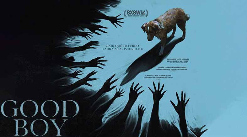 "Good Boy: Confía en su instinto" llega a cines de Querétaro 1 Good Boy