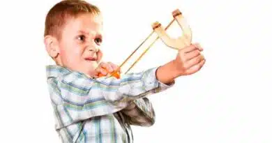 Hijos que