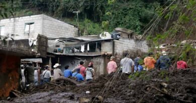 Japón envía ayuda para damnificados por las lluvias en México 3 Japón