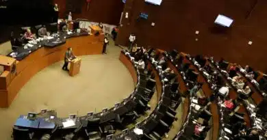 Senado