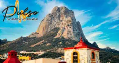 Al cobijo
