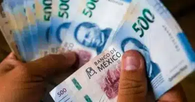 modalidades