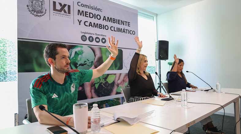 Aprueban que se priorice el uso de plantas nativas o endémicas 1 Aprueban