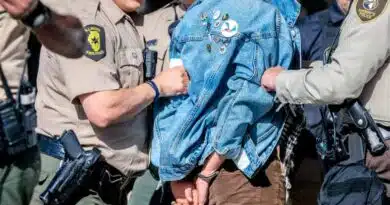 ICE