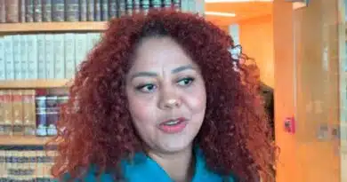 Diputada