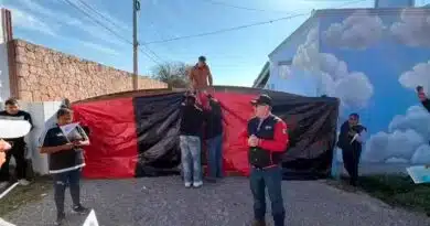 Viñedos la