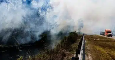 Incendio de más de 10 mil hectáreas se expande en los Everglades, Florida Incendio