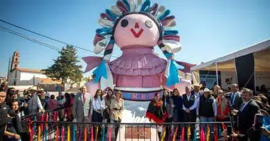 Las muñecas