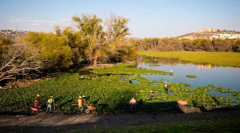 Supervisa Mauricio Kuri obras de control pluvial 2 control pluvial