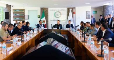 En Coordinación para la Construcción de la Paz y Seguridad Paz