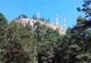 Buscarán